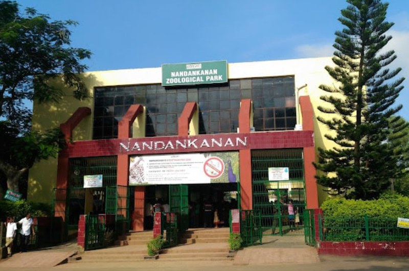 Nandankanan Zoological Park – Wildlife Adventure with Affordable Stays Nearby