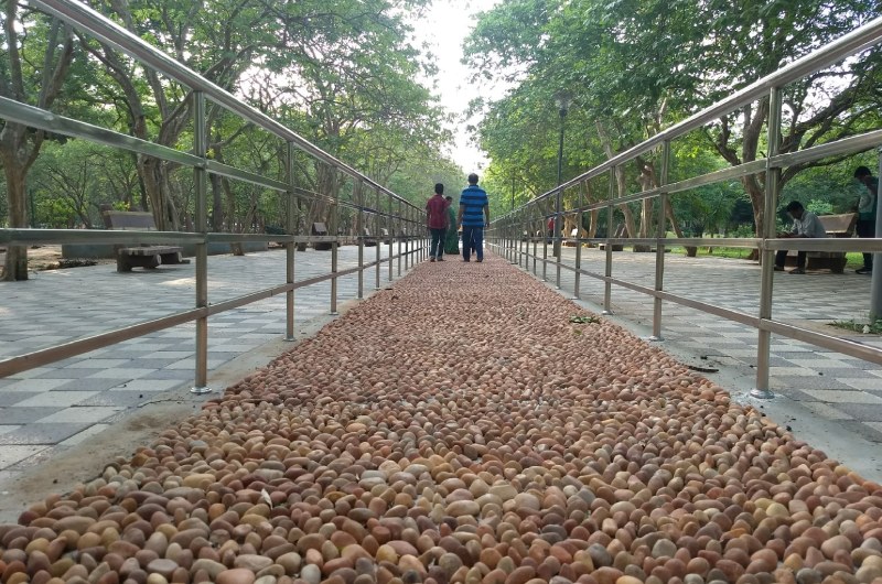 Biju Patnaik Park (Forest Park)